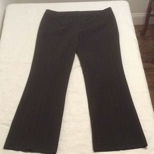 Size 16 Tall New York & Company Bootcut Pants